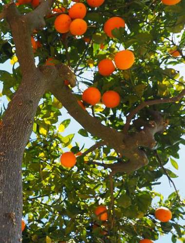 开云体育平台网址最新地址(中国)官方系统