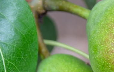 开云体育平台网址最新地址(中国)官方系统