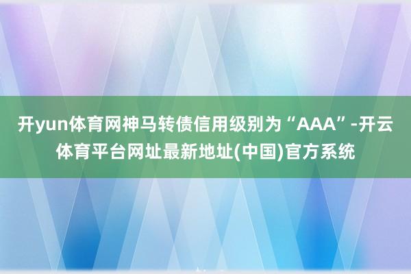 开yun体育网神马转债信用级别为“AAA”-开云体育平台网址最新地址(中国)官方系统
