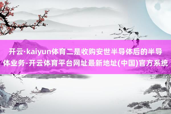 开云·kaiyun体育二是收购安世半导体后的半导体业务-开云体育平台网址最新地址(中国)官方系统