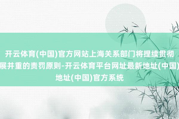 开云体育(中国)官方网站上海关系部门将捏续贯彻程序与发展并重的责罚原则-开云体育平台网址最新地址(中国)官方系统