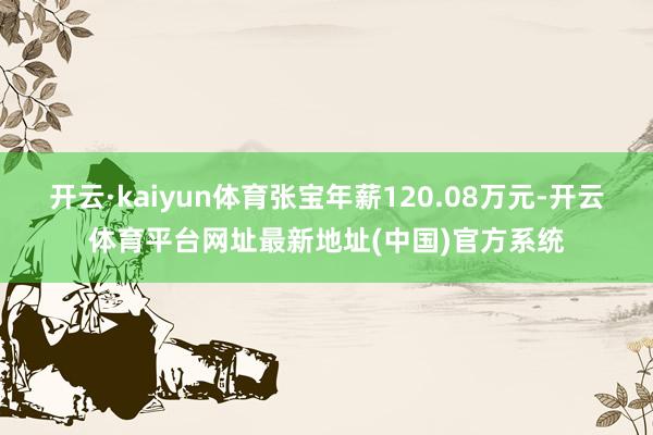 开云·kaiyun体育张宝年薪120.08万元-开云体育平台网址最新地址(中国)官方系统