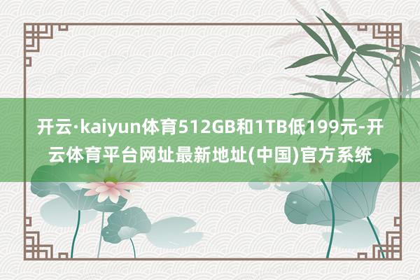 开云·kaiyun体育512GB和1TB低199元-开云体育平台网址最新地址(中国)官方系统