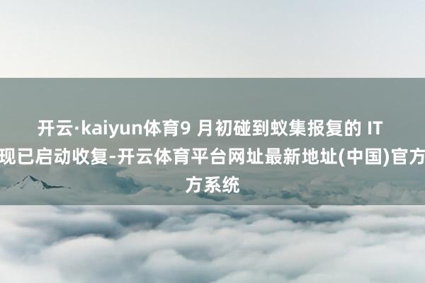 开云·kaiyun体育9 月初碰到蚁集报复的 IT 系统现已启动收复-开云体育平台网址最新地址(中国)官方系统